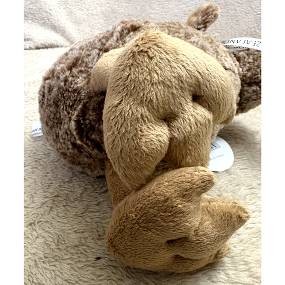 Prokiwi New Zealand Brown KIWI BIRD Stuffed Animal Plush 8.5" - Picture 5 of 7